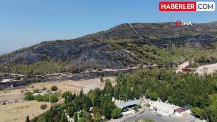 7 şehirdeki orman yangınlarında 9 tutuklama