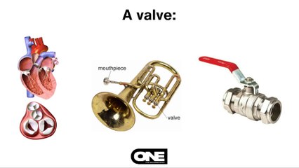 Build for the Flood - Touré Roberts