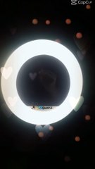 lvtemp_67418fc8-2e20-4061-8c6c-944689547f677