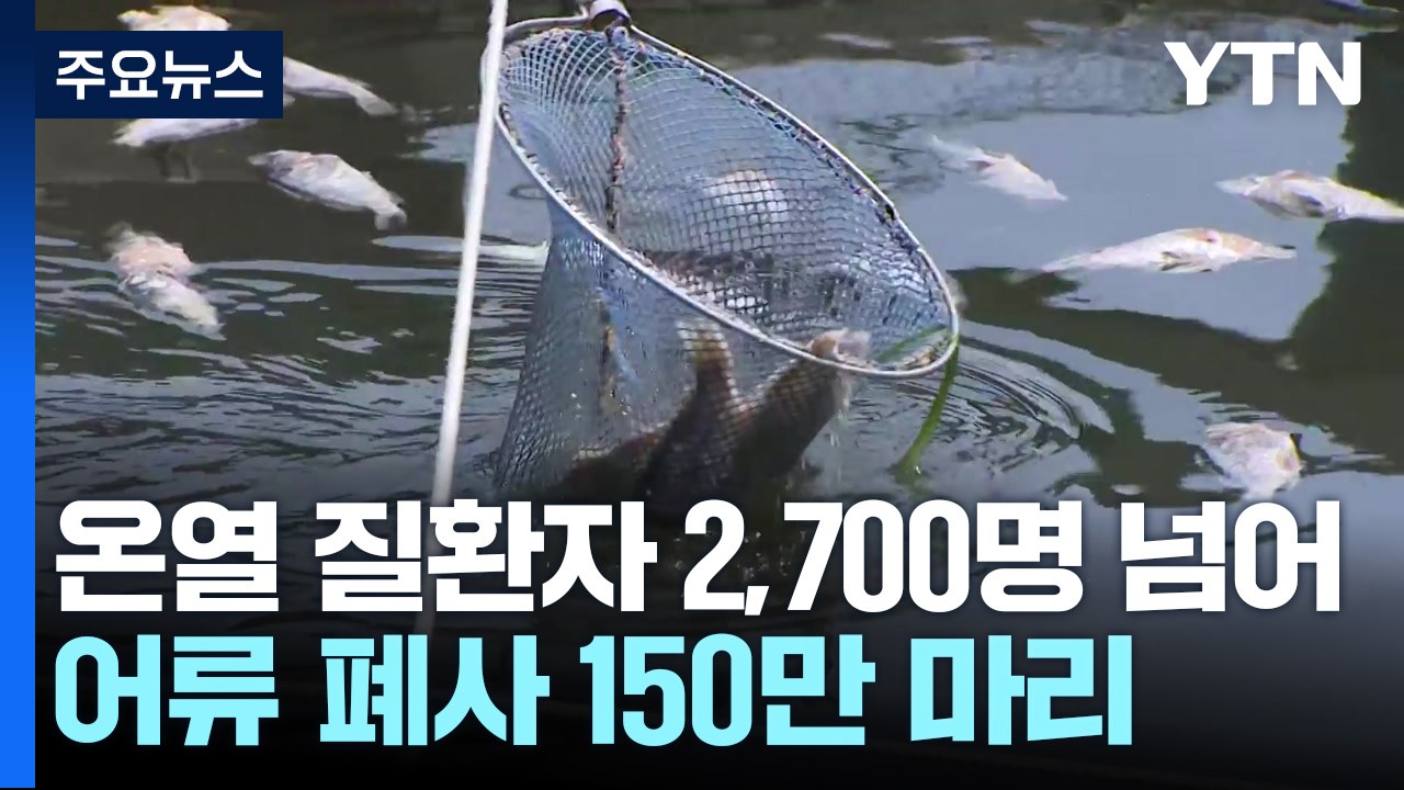 온열 질환자 2,700명 넘었다...어류 폐사 150만 마리 / YTN
