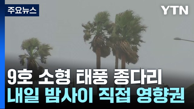 [날씨] 내일 밤사이 태풍 '종다리' 직접 영향권...열대야·폭염 계속 / YTN