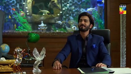 Deewar e Shab Episode 29 HUM TV Drama 28 December 2019.