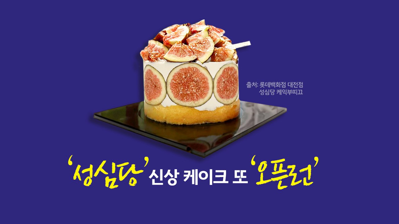 성심당 신상 케이크 또 '오픈런', "얼마나 맛있길래?" [앵커리포트] / YTN