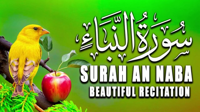 Surat An-Naba' (The Tidings) | | سورة النبإ |Beautiful Recitation of Quran |Tilawat E Quran |Al Quran