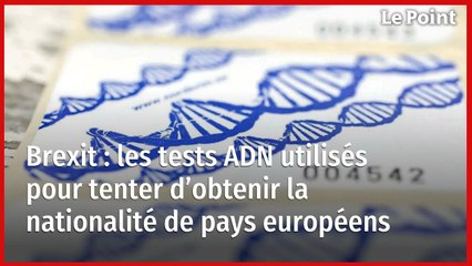 Brexit : les tests ADN utilisés pour tenter d’obtenir la nationalité de pays européens