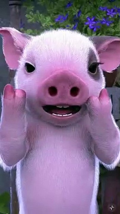 So funny piggy dancing