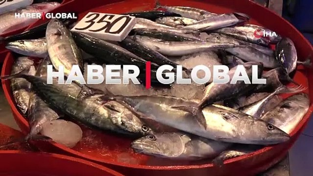 Balıkçılar av sezonundan umutlu: Her yerde bizi tatmin edecek palamut görüntüsü var