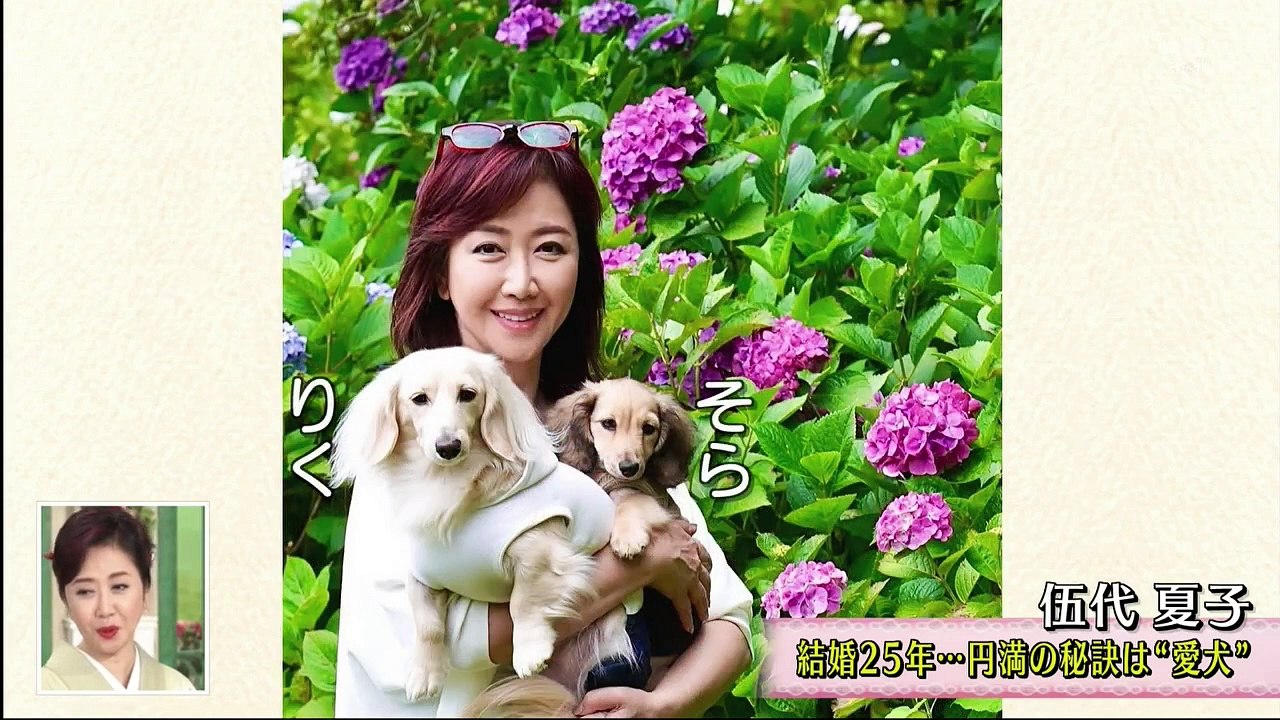 徹子の部屋  2024年8月19日