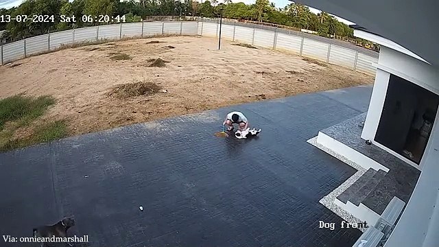 Funny vidios and entertainment