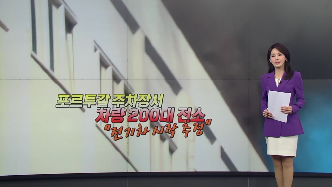 국내외 전기차 화재 잇따라...포루투갈서 200여 대 전소 [앵커리포트] / YTN