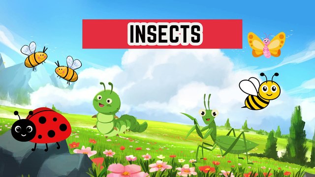 Insects Names Learning | Educational Video for Kids and Toddlers | Bright Spark Station