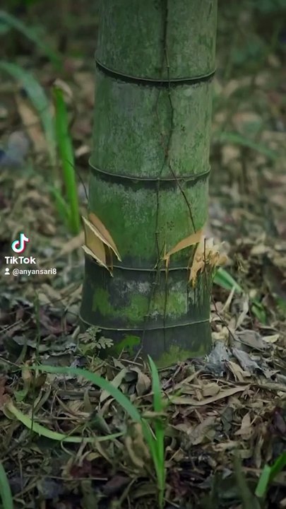 Chines Parson Hard Life #Chinafact