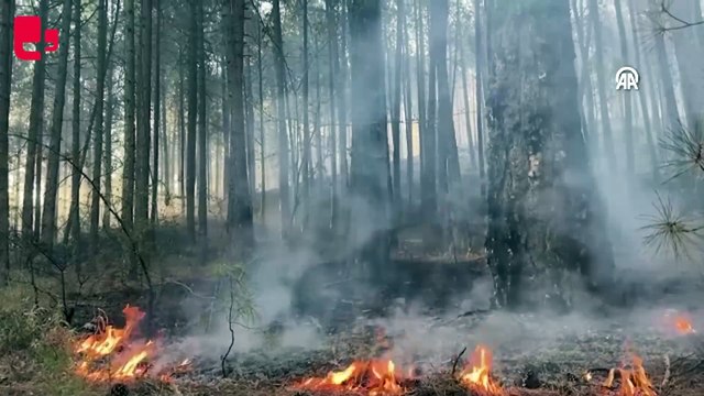 Yatağan ve Ula ilçelerinde çıkan orman yangınlarına müdahale sürüyor