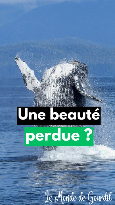 Trop beau pour exister ?
