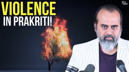 Why is there so much violence in Prakriti? || Acharya Prashant (2019)