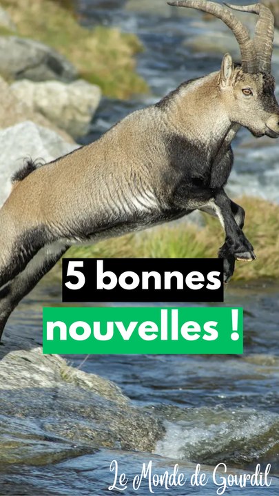 Les bonnes nouvelles !