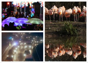 Wearside photos that wowed