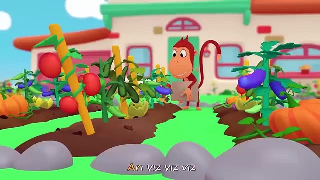 Çekirge Ve TOP KUKULİ HAYVANLAR İÇİN ŞARKILAR Kukuli