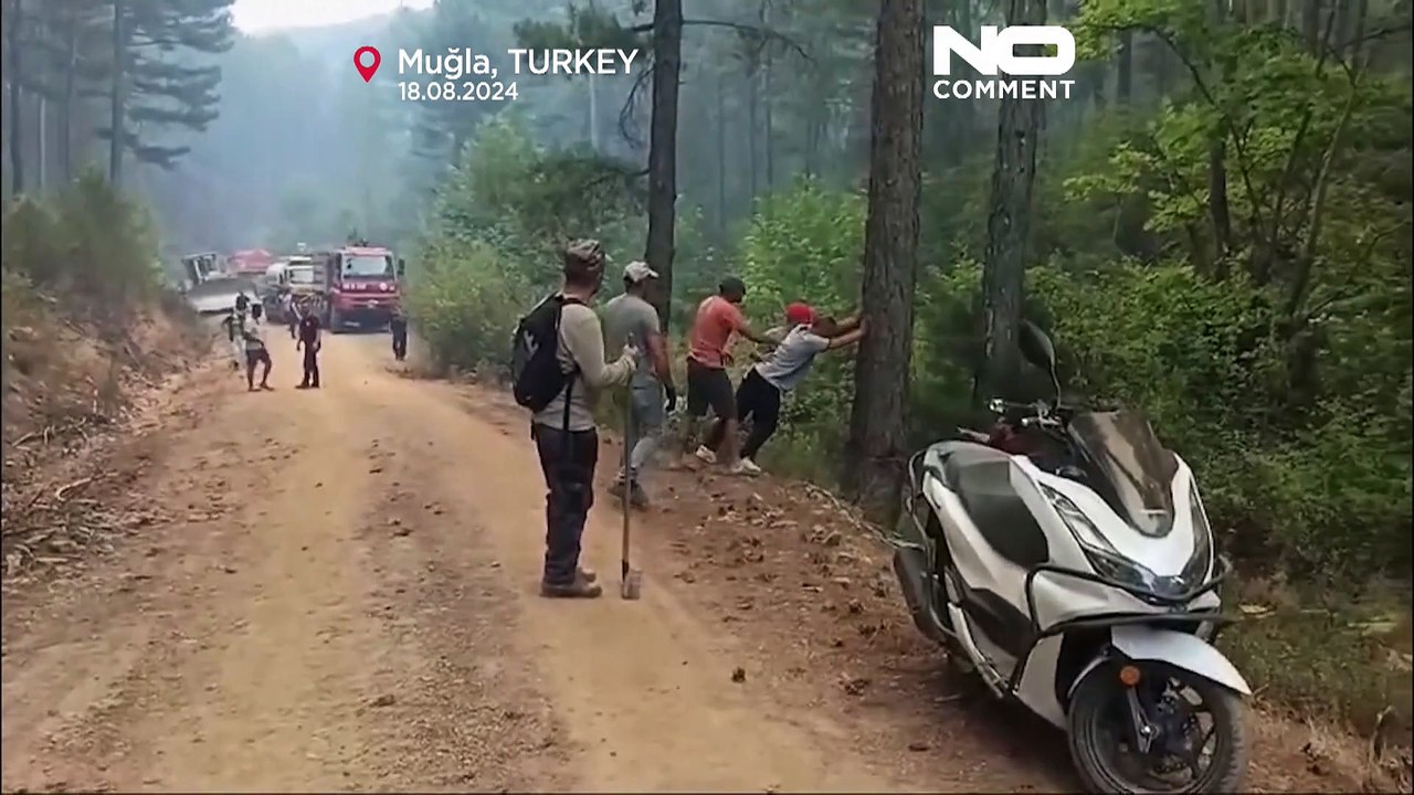 Waldbrände in der Türkei: Hunderte Einsatzkräfte versuchen, die Brände zu bändigen