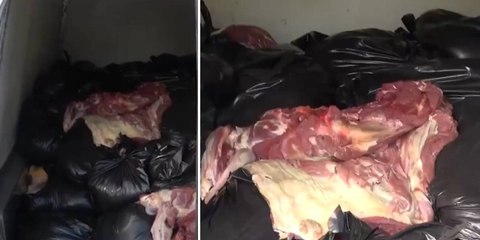 1.5 ton at ve eşek etiyle yakalanan kasap: Akrabalarıma dağıtacaktım