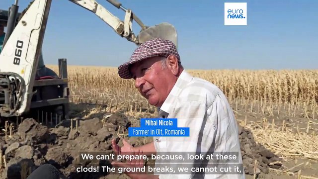 Romanian farmers worried for soil as drought devastates land