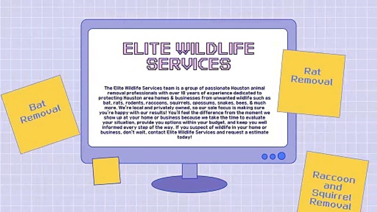 Rat Removal Services Near You Efficient and Reliable Solutions