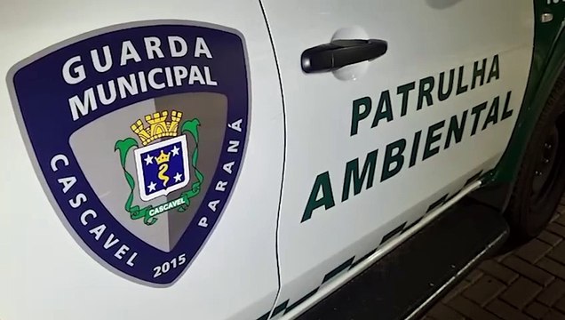 Homem é preso pela GM após ser acusado de violência doméstica no bairro Morumbi