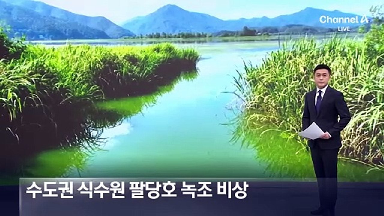 ‘수도권 식수원’ 팔당호에 녹조 ‘비상’…9년 만에 최대치