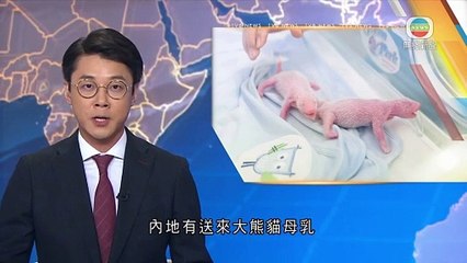 doanh doanh chăm sóc con ‐ Được tạo bằng Clipchamp