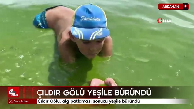 Çıldır Gölü, alg patlaması sonucu yeşile büründü