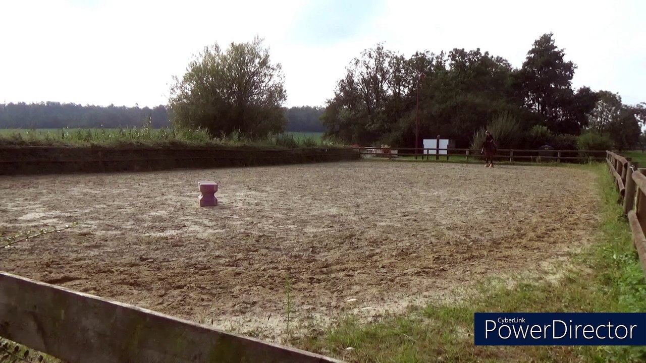 190824 départs galop