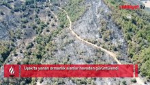 Uşak'ta yanan ormanlık alanlar havadan görüntülendi