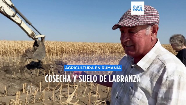 La sequía devasta cultivos, cosechas y suelo de labranza en Rumanía
