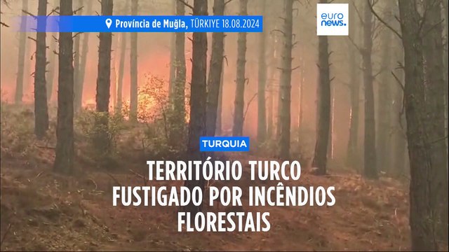 Turquia fustigada por mais de 200 incêndios florestais na última semana