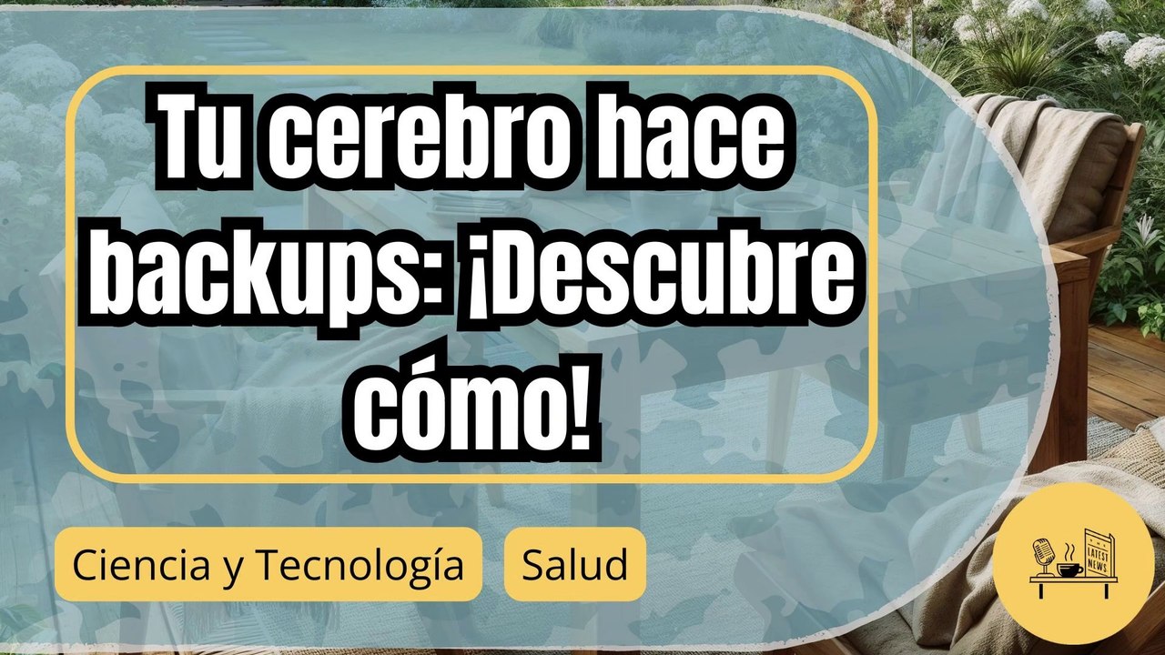 Descubren cómo el cerebro crea copias de seguridad de nuestros recuerdos