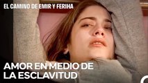 Todo Lo Que Necesitábamos Era Un Ex Prometido Psicópata... - El Camino de Emir y Feriha