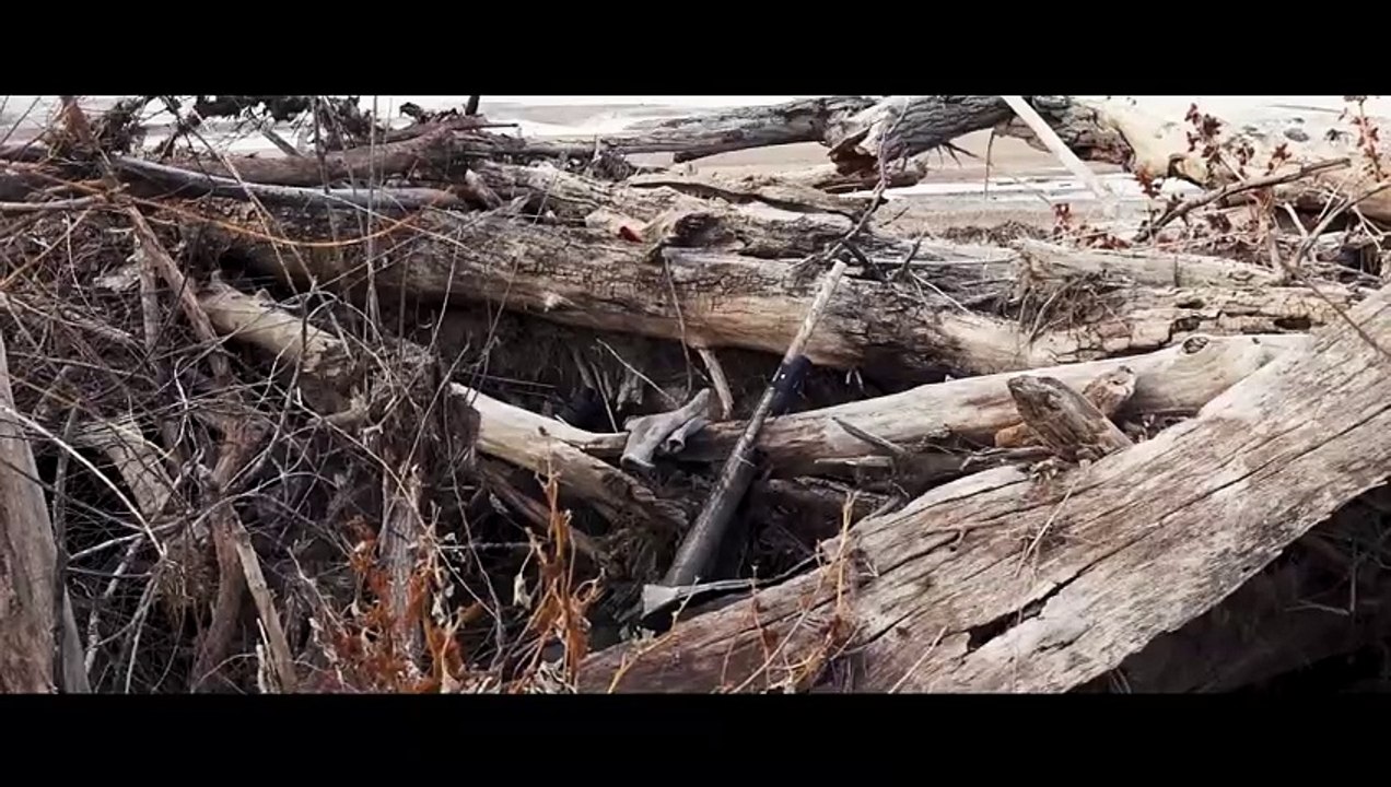 SOLO Hunting From a DRIFTWOOD Blind _ ALL DAY Goose Hunt