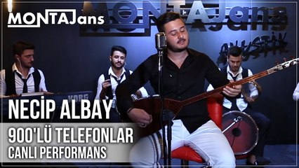 Necip Albay - 900'lü Telefonlar (Canlı Performans)