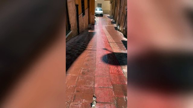 Agrigento in piena emergenza acqua, ma in centro da una tubatura rotta scorre in strada un ruscello ininterrotto