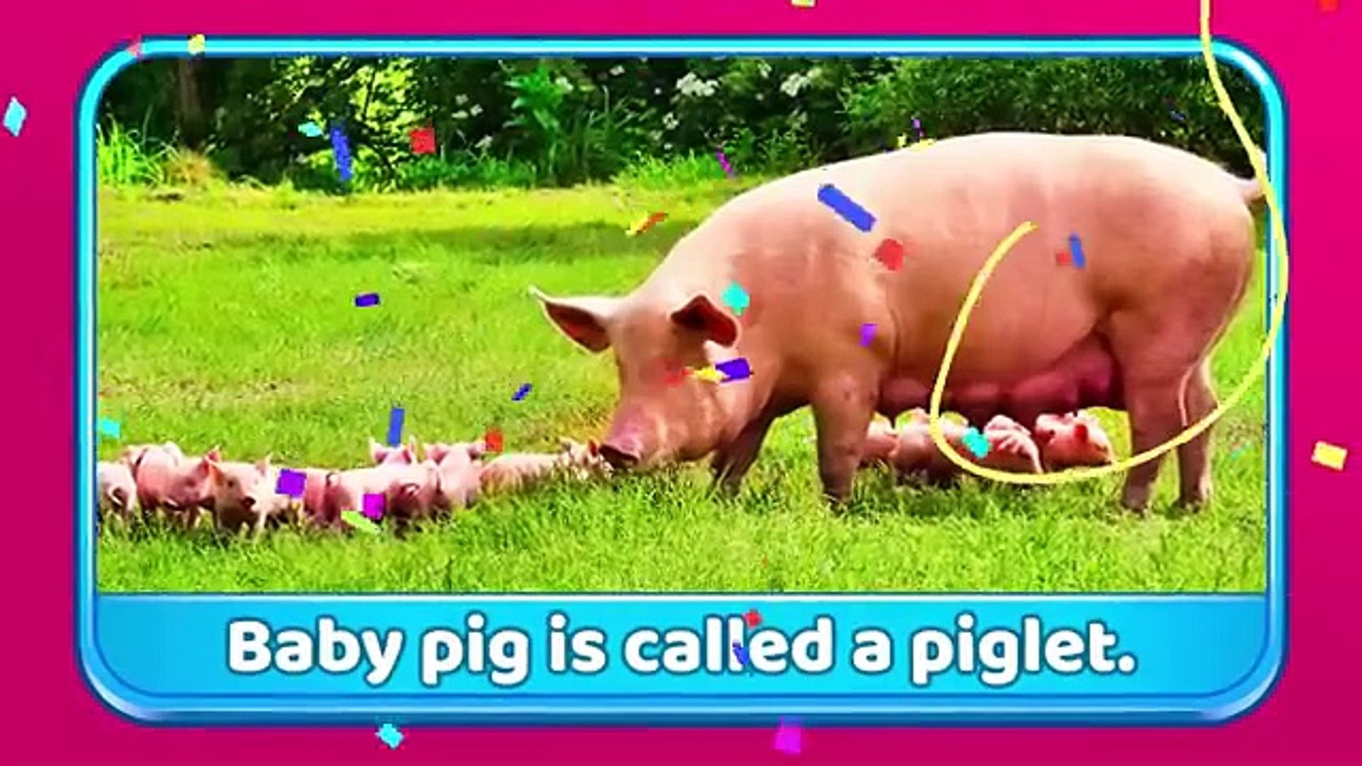 ⁣Animal Names for Kids _ Animals Sounds & Baby Names _ Educational Videos For Kids