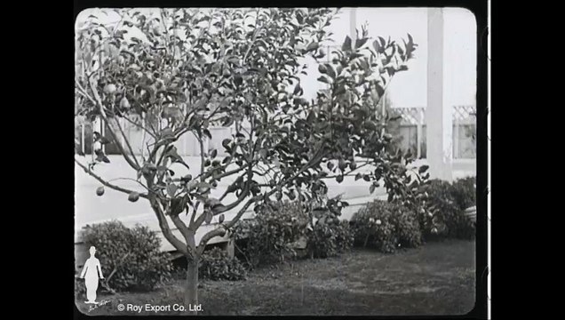 From the Chaplin archives: Rare footage of Max Eastman visiting Charlie Chaplin circa 1919.#Funny#CharlieChaplin#comedy#toptrendingvideos