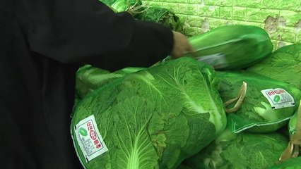 배추 한 포기에 7천 원 육박...일주일 새 15％↑ / YTN