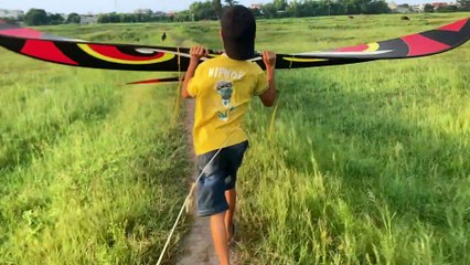 Học sinh idol đam mê thả diều sáo