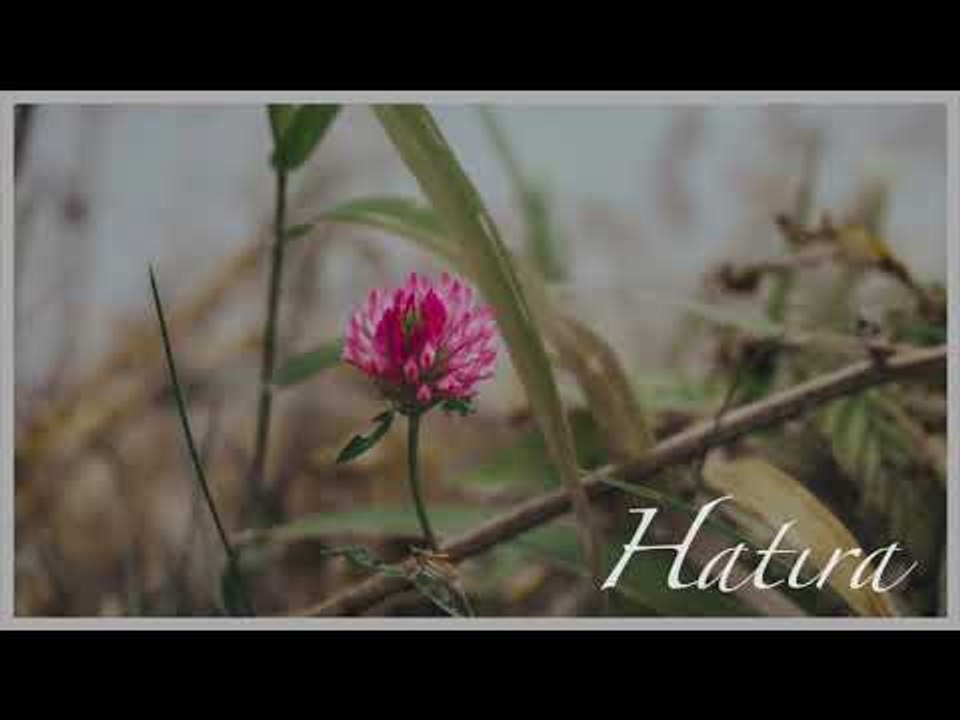 HATIRA (Duygusal Fon Müziği) ♫