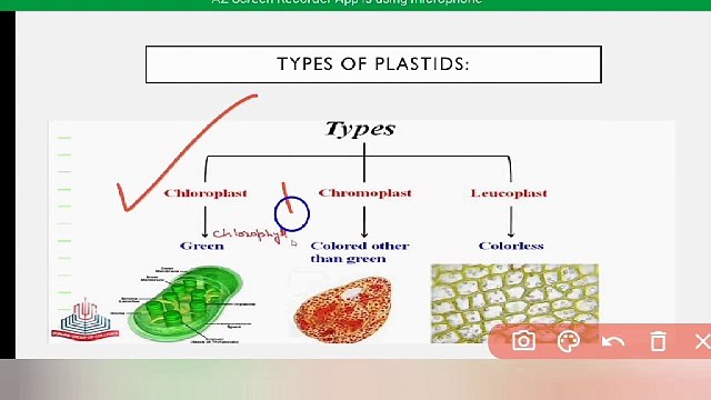 plastids class 9 Biology in Urdu / in Hindi | cell organelles in Urdu / in Hindi| Lec# 10 | chp # 4 | cells and tissues