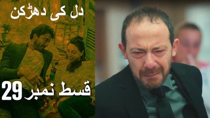 دل کی دھڑکن   Heart Beat - Episode 29