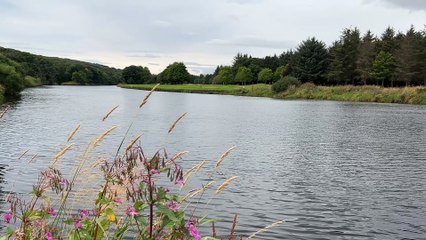 Banff - Golf Course and River Deveron 3