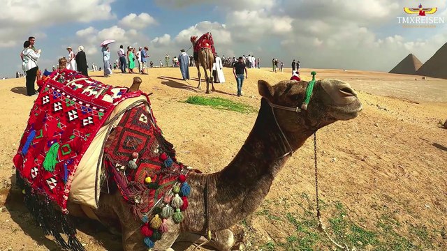 Übernachtung in Kairo Ab Hurghada