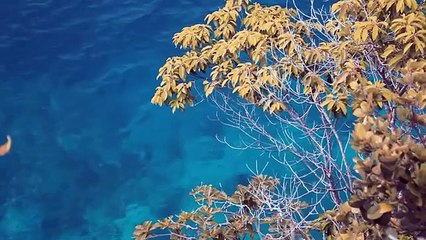 solo camping bushcraft in indonesia - pulau kadatua