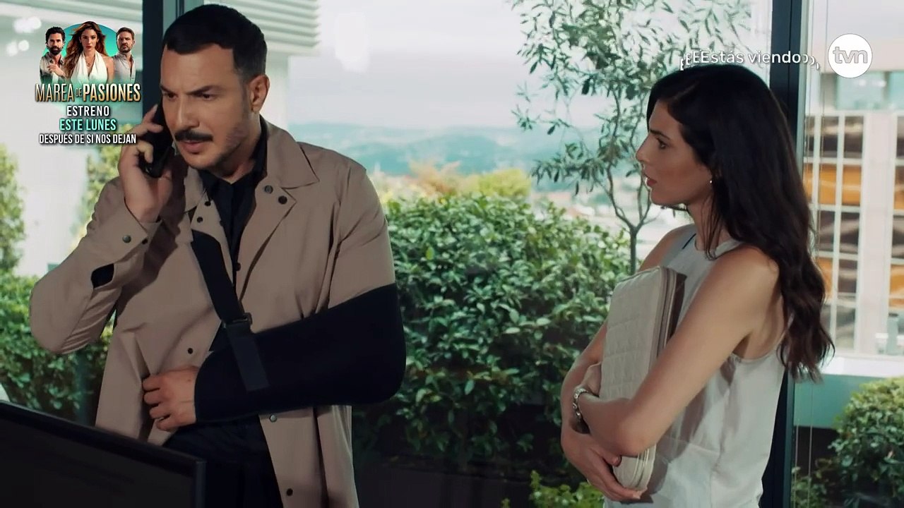 Novelones TVN: Propuesta Indecente